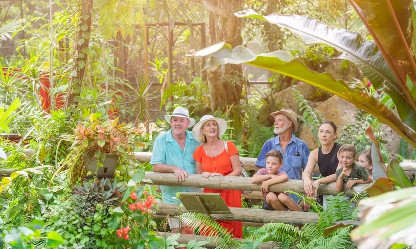 Kuranda Scenic Train and Skyrail Tour - 11am | Experience OZ
