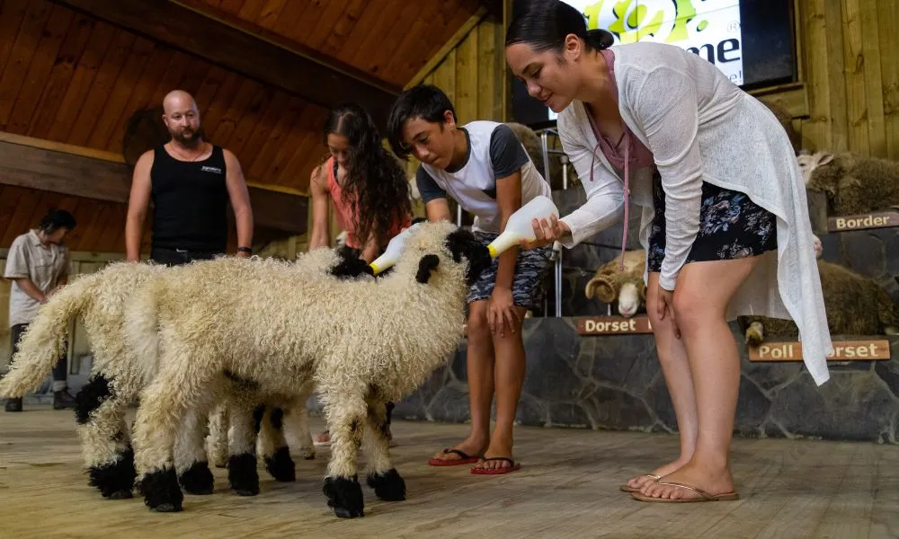 Farm Tour and Show Experience in Rotorua | Experience Oz + NZ-2
