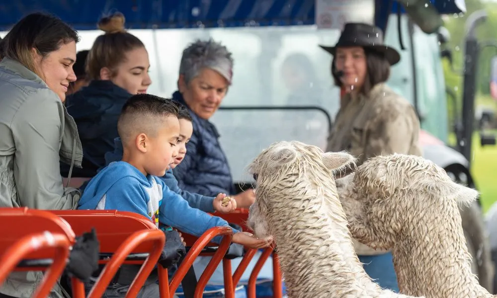 Farm Tour and Show Experience in Rotorua | Experience Oz + NZ-1