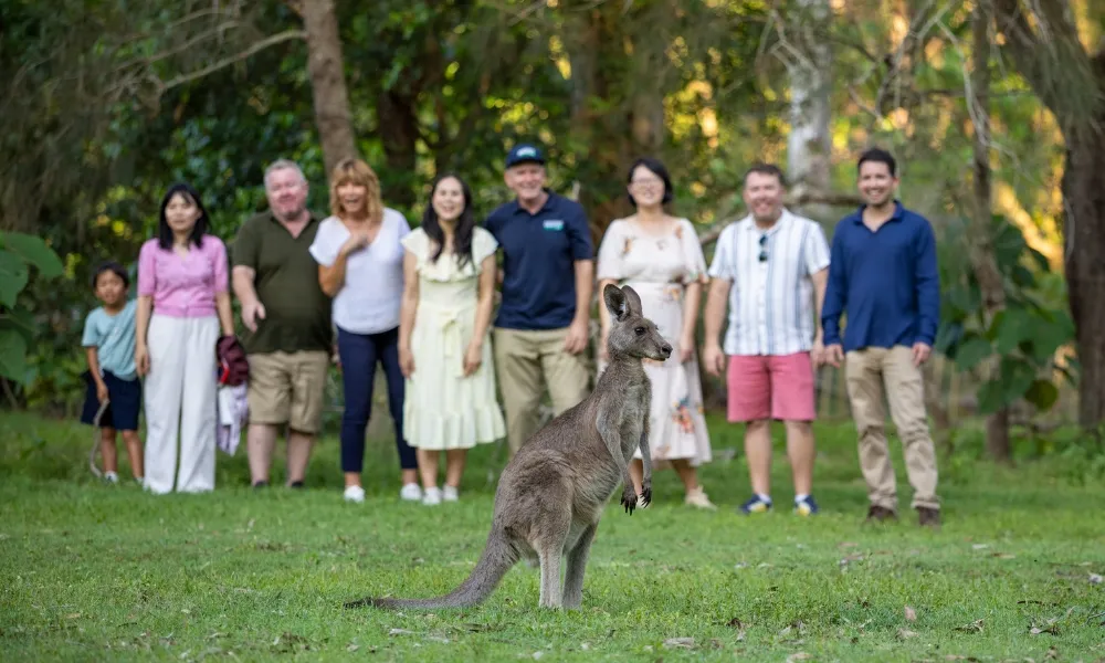 Gold Coast Day Tour From Brisbane | Experience Oz-5