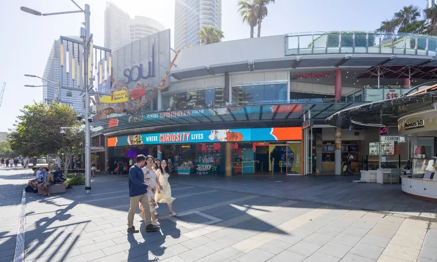 Gold Coast Day Tour From Brisbane | Experience Oz