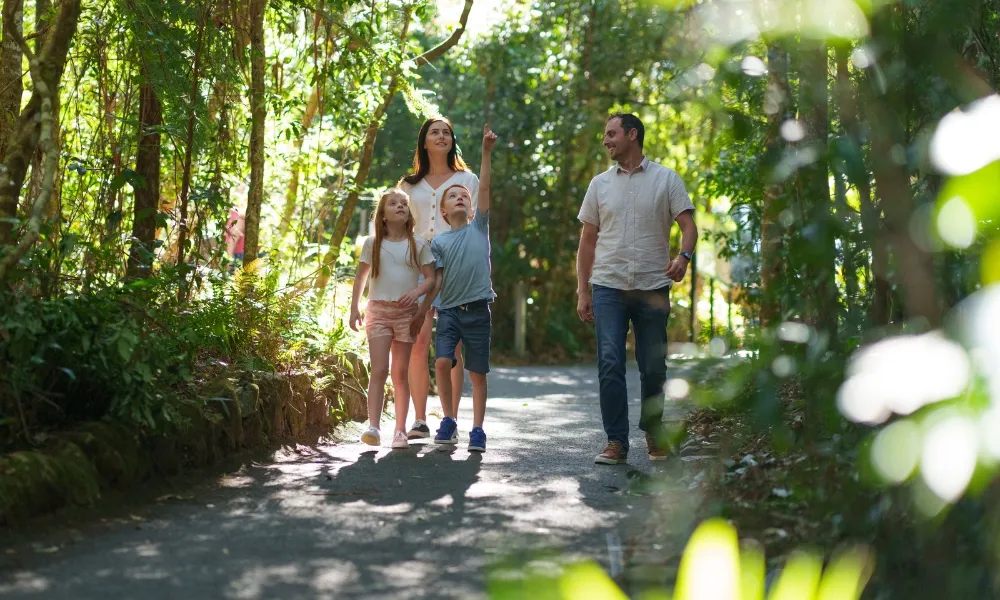 Gold Coast Day Tour From Brisbane | Experience Oz-11