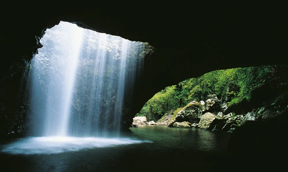 Gold Coast Day Tour From Brisbane | Experience Oz-13