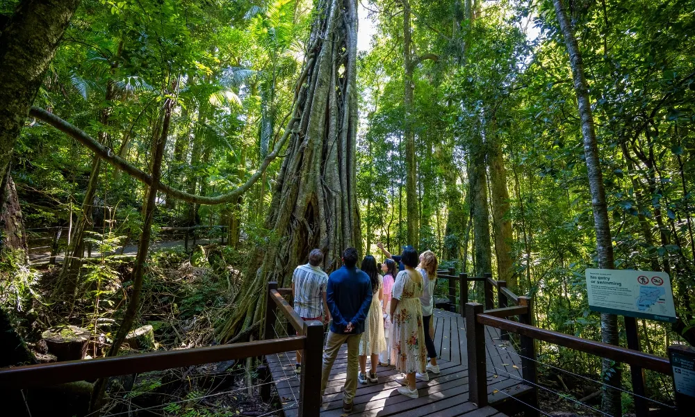 Gold Coast Day Tour From Brisbane | Experience Oz-15