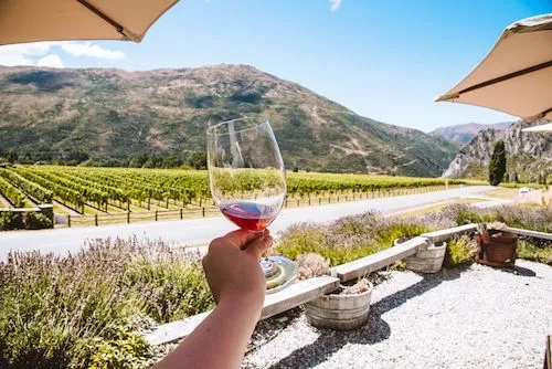 Helicopter Landing and Wine Sampler Tour from Queenstown - Full Day | Experience OZ-14