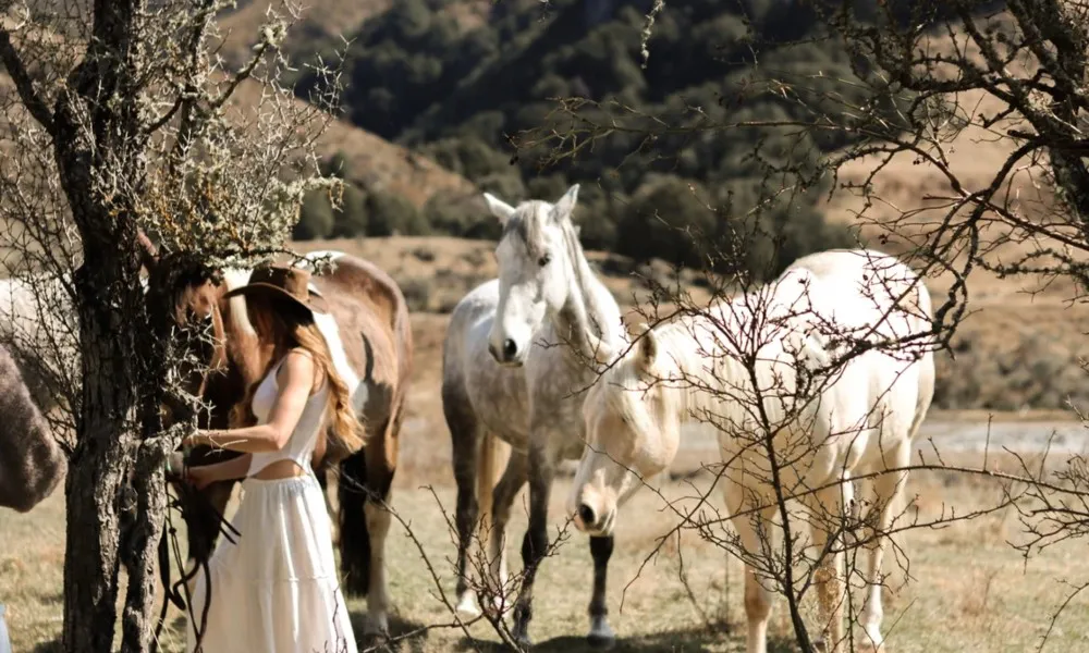 Moke Lake Shore Horse Trek near Queenstown - 45 Minutes | Experience OZ-3