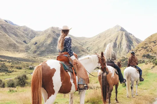 Moke Valley Horse Trek near Queenstown - 90 Minutes