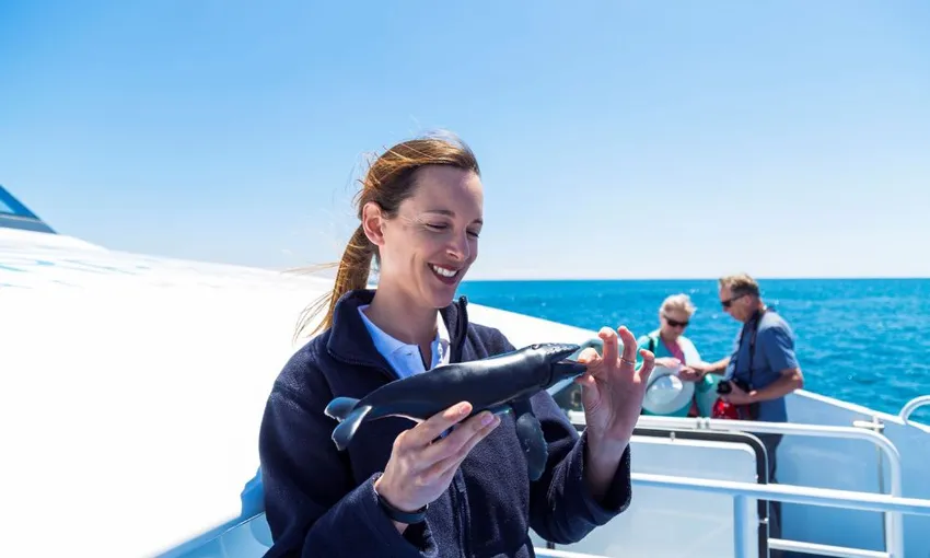 Whale Watching Cruise from Hillarys Harbour - Experience Oz