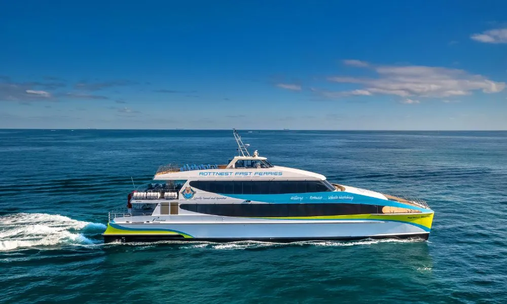 Whale Watching Cruise from Hillarys Harbour - Experience Oz-4