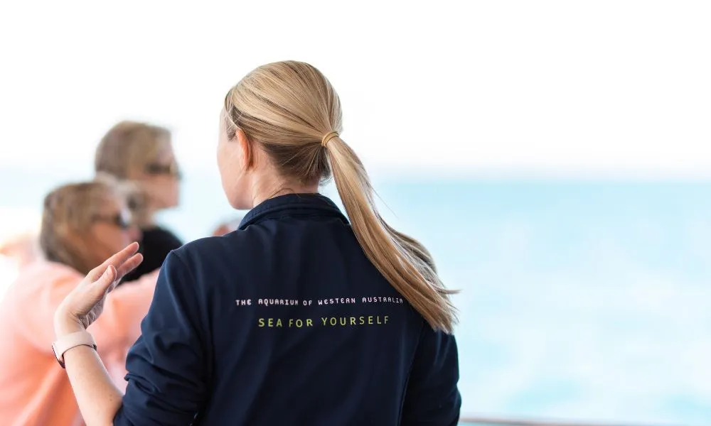 Whale Watching Cruise from Hillarys Harbour - Experience Oz-6