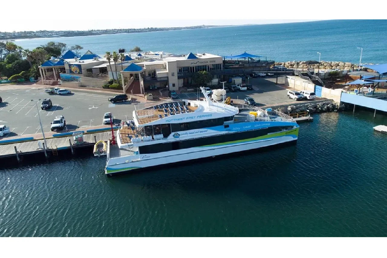 Whale Watching Cruise from Hillarys Harbour - Experience Oz-9