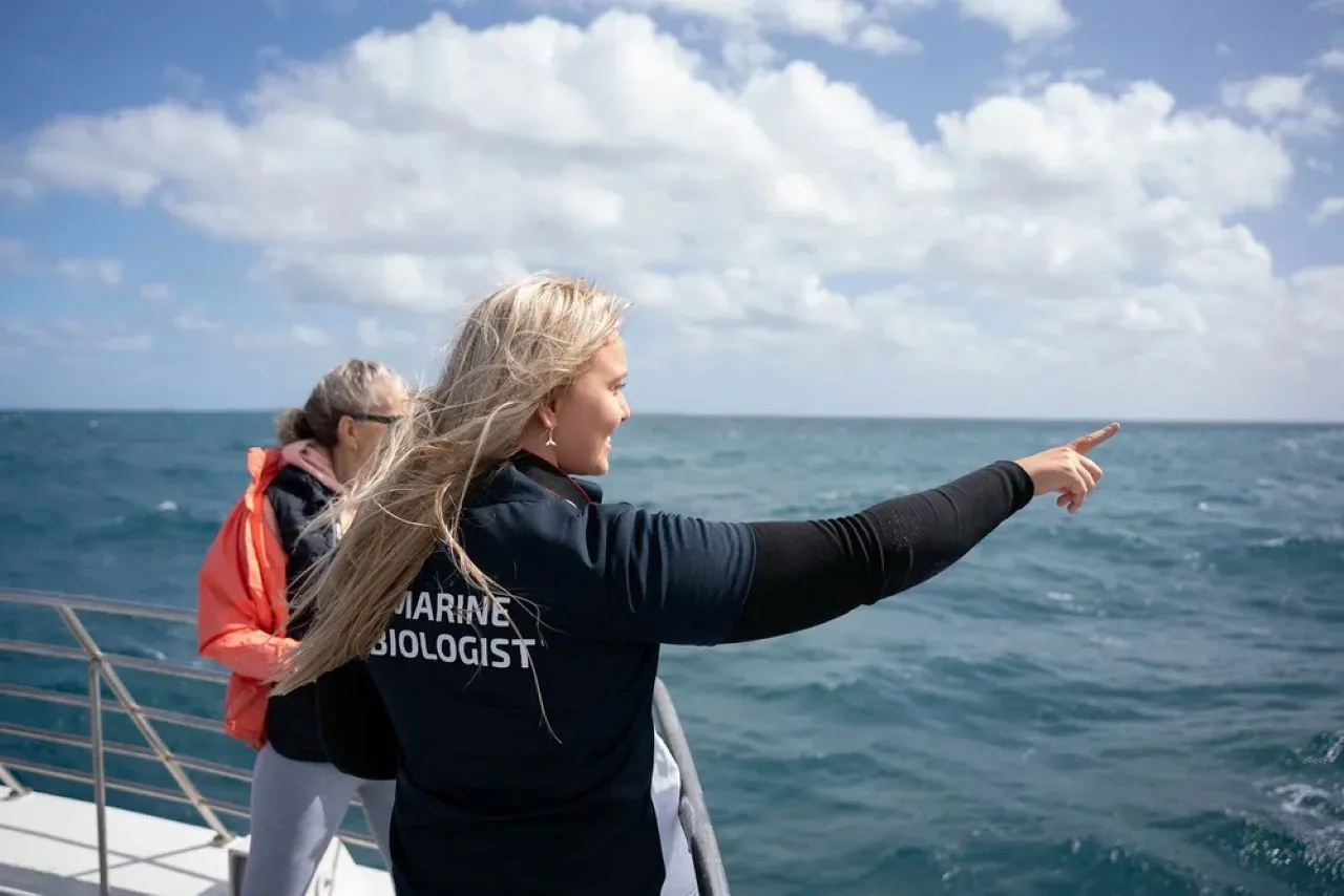 Whale Watching Cruise from Hillarys Harbour - Experience Oz-11