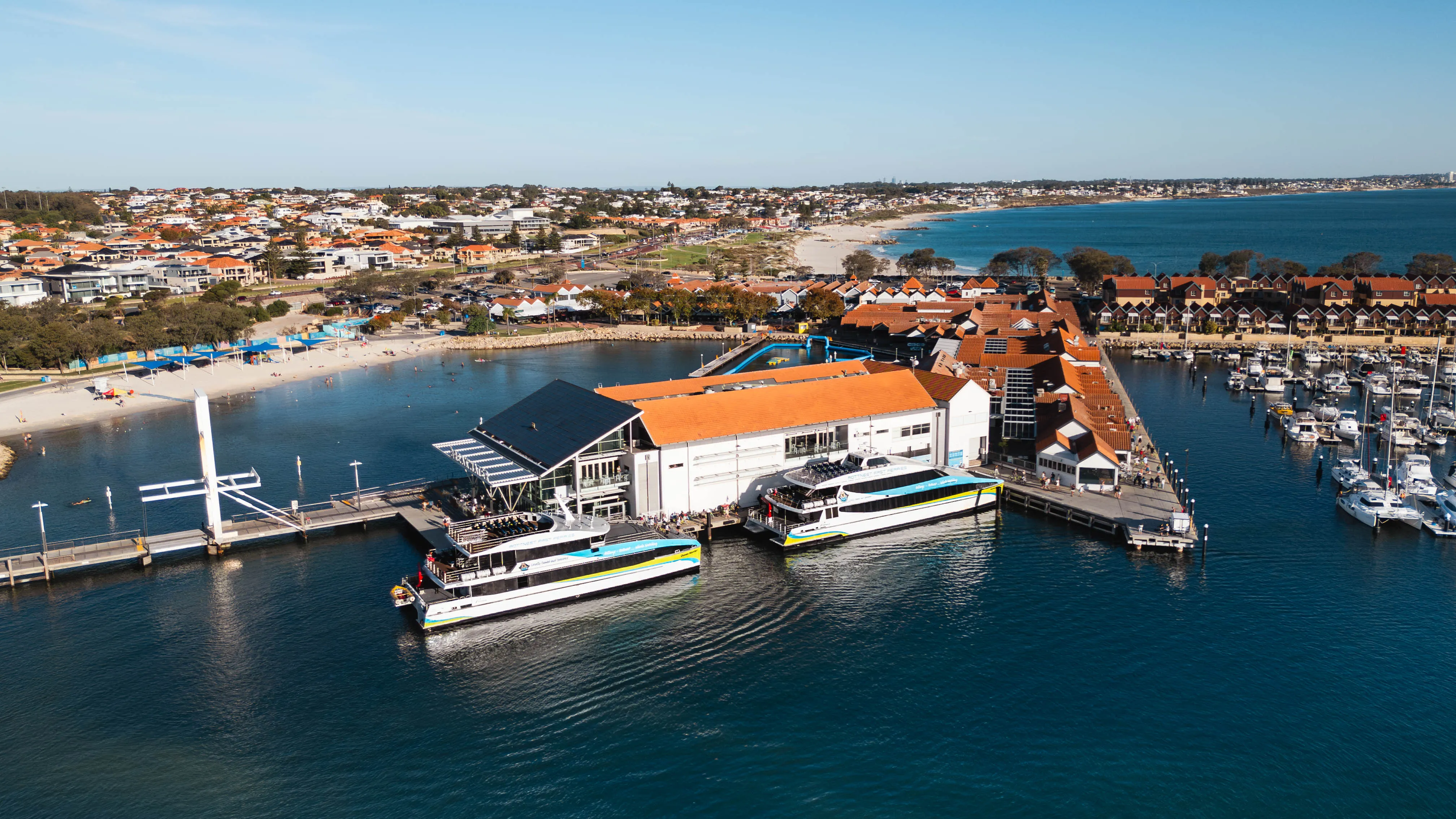 Whale Watching Cruise from Hillarys Harbour - Experience Oz-12