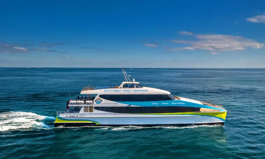 Whale Watching Cruise from Hillarys Harbour