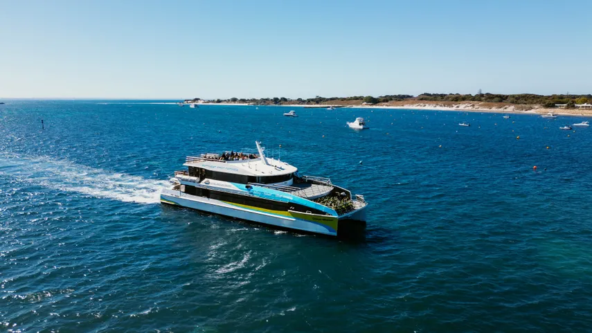 Whale Watching Cruise from Hillarys Harbour
