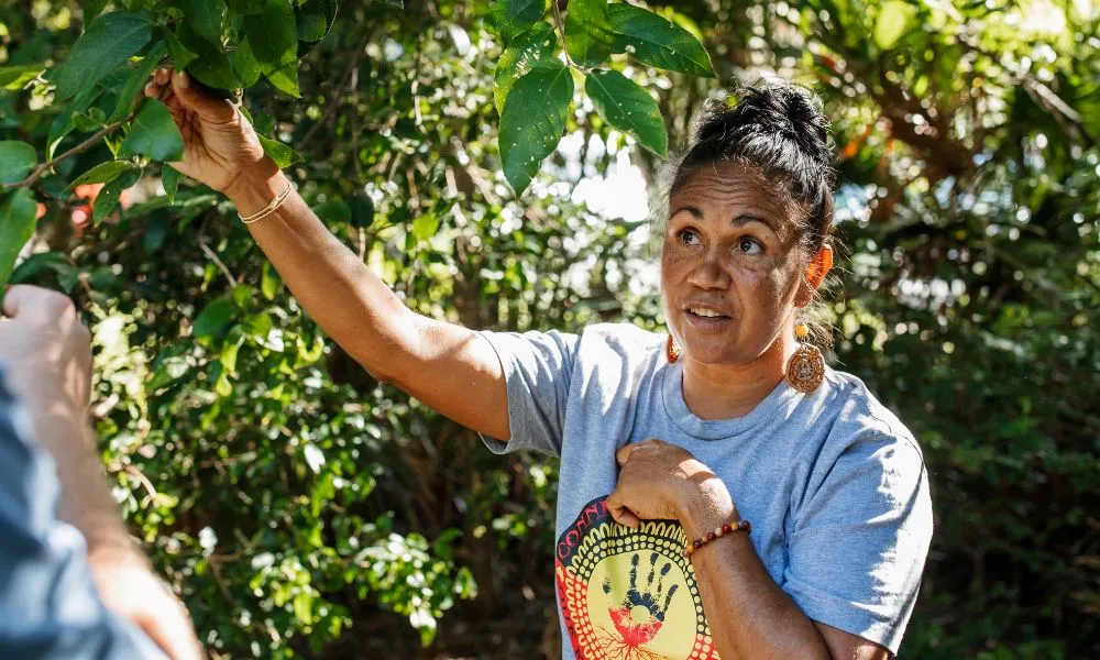 Byron Bay Lighthouse Aboriginal Tour - 2.5 Hours | Experience Oz-1