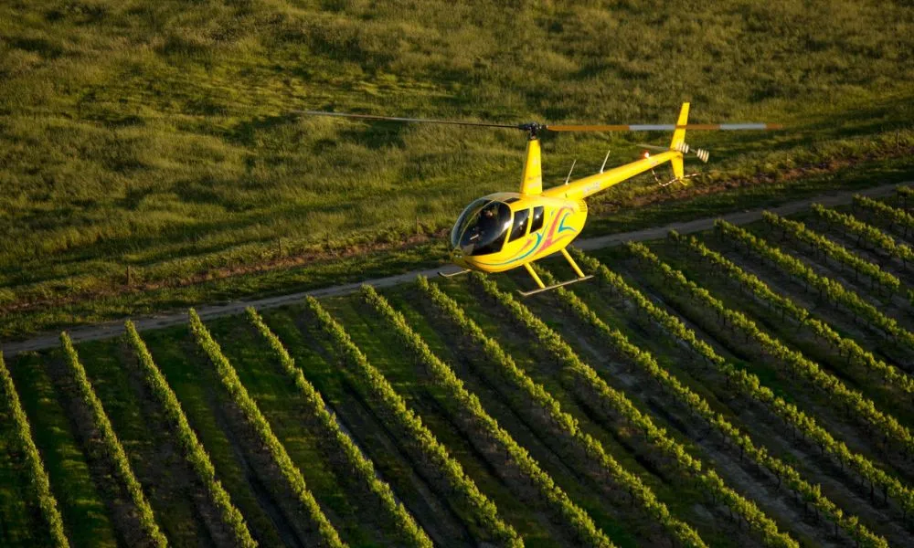 Barossa Valley Taste of Flight Helicopter Experience | Experience Oz-1