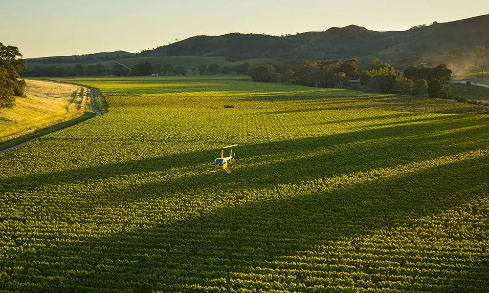 Barossa Valley Taste of Flight Helicopter Experience | Experience Oz-5