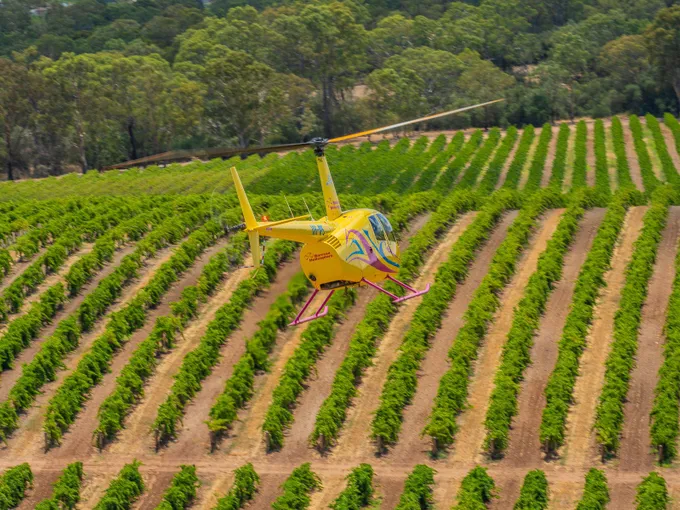 Barossa Valley Taste of Flight Helicopter Experience | Experience Oz