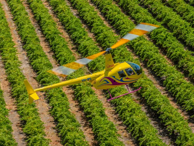 Barossa Valley Taste of Flight Heli Experience - Up to 3 persons