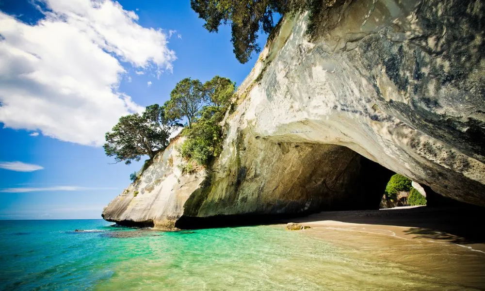 Cathedral Cove & Coromandel Small Group Day Tour from Auckland-1