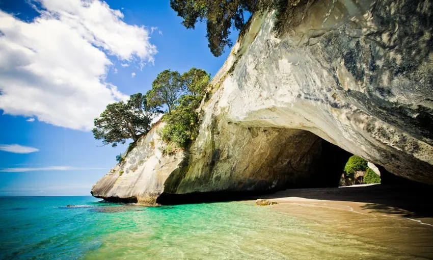 Cathedral Cove & Coromandel Small Group Day Tour from Auckland