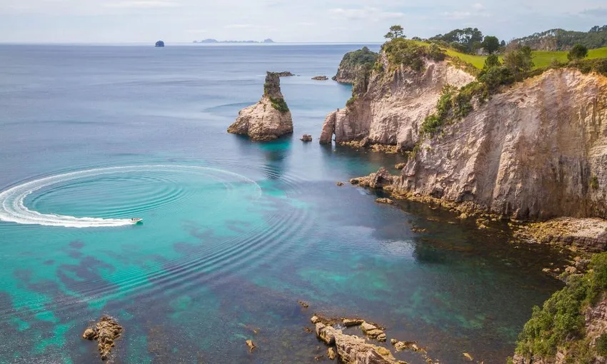 Cathedral Cove & Coromandel Small Group Day Tour from Auckland