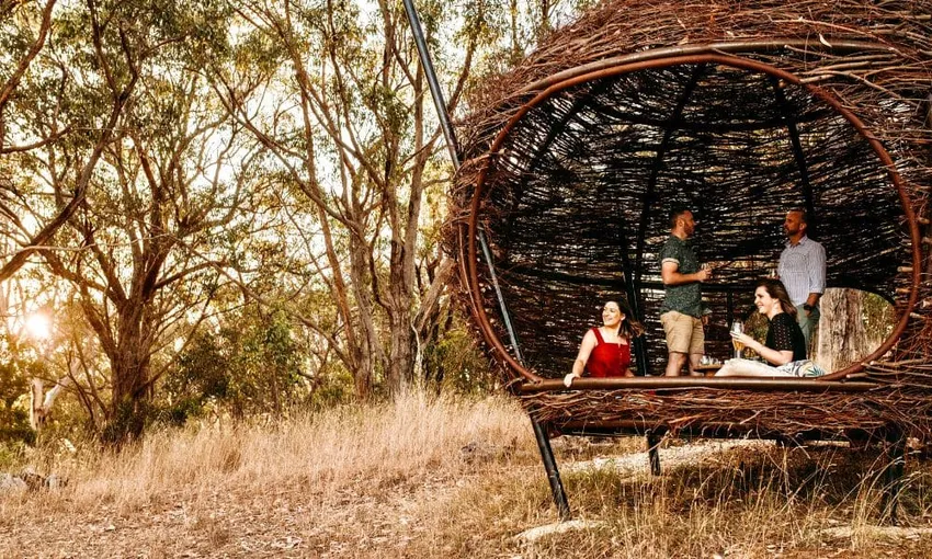 5 Course Lunch with Paired Wine | Experience Oz