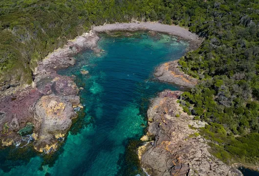 Introductory Scuba Dive, 2 Hours - Bass Point