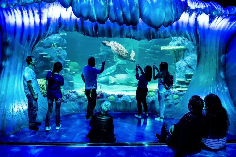 Sydney Unlimited Attractions Pass - 2, 3 and 5 Day