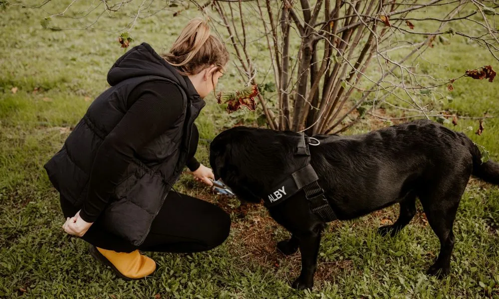 Truffle Hunt in Margaret River - 45 Minutes | Experience Oz-1