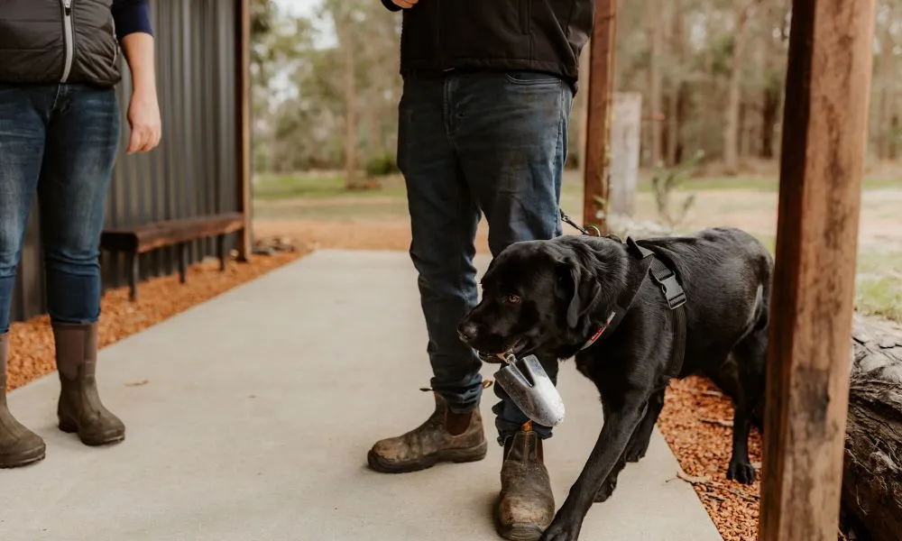 Truffle Hunt in Margaret River - 45 Minutes | Experience Oz-2