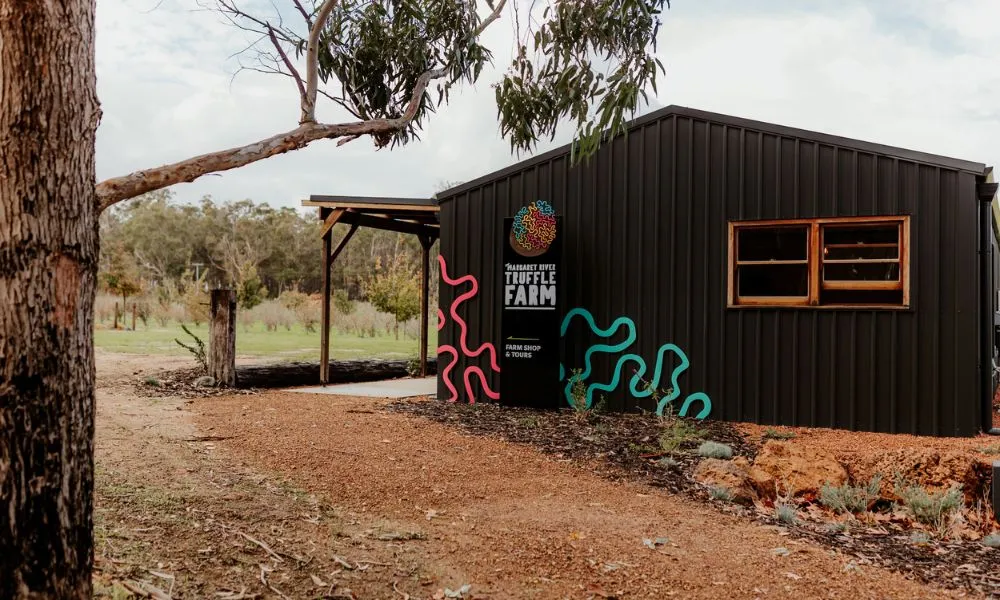 Truffle Hunt & Eat in Margaret River - 2 Hours | Experience Oz-6