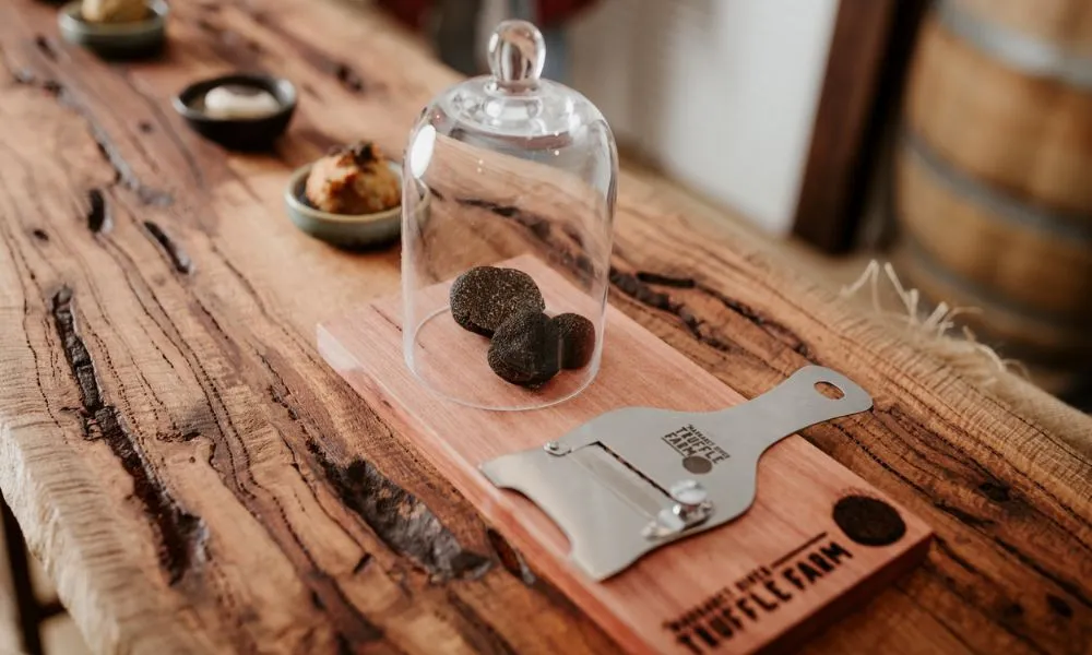Truffle Hunt & Eat in Margaret River - 2 Hours | Experience Oz-2