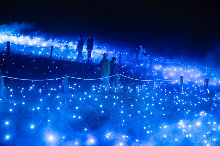 Currumbin Wildlife Sanctuary Astra Lumina | Experience OZ