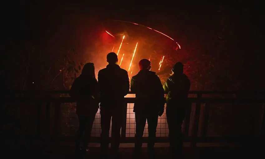 Currumbin Wildlife Sanctuary Astra Lumina | Experience OZ
