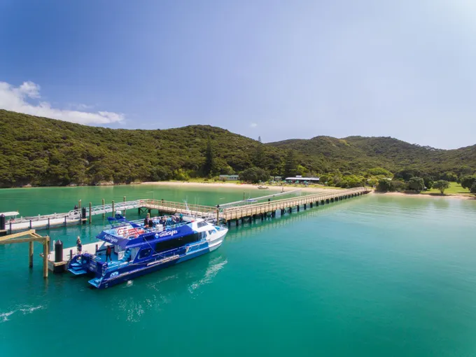 Bay of Islands Group Tour from Auckland | Experience Oz + NZ
