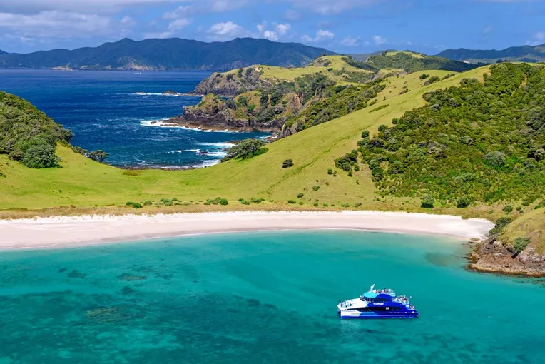 Bay of Islands Group Tour from Auckland | Experience Oz + NZ