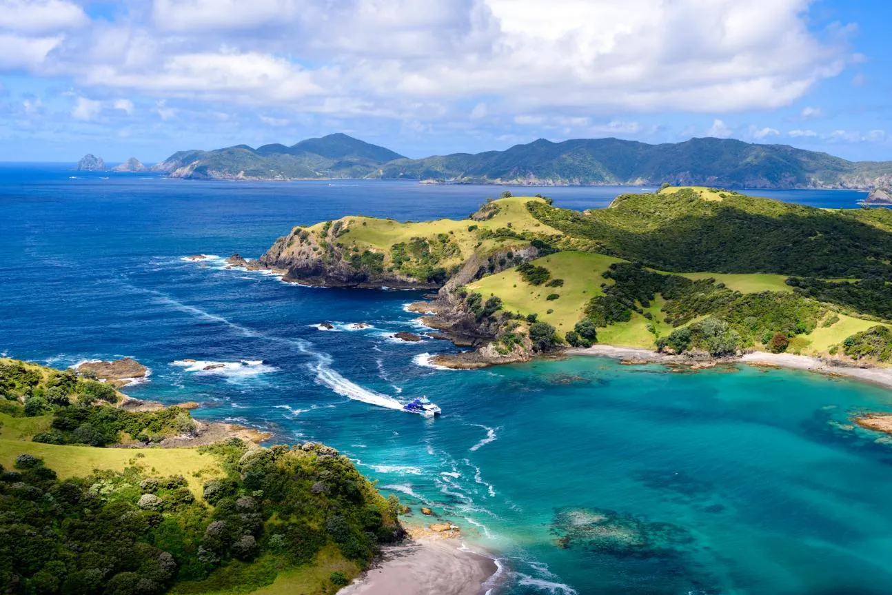 Bay of Islands Group Tour from Auckland | Experience Oz + NZ-7