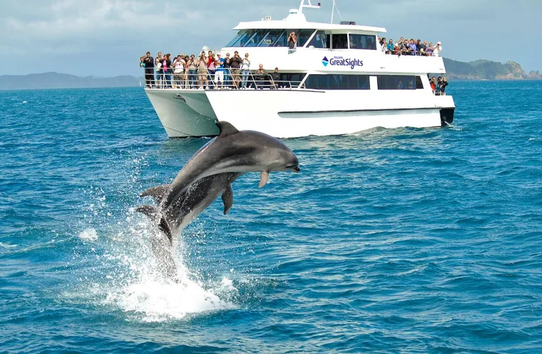 Bay of Islands Group Tour from Auckland | Experience Oz + NZ