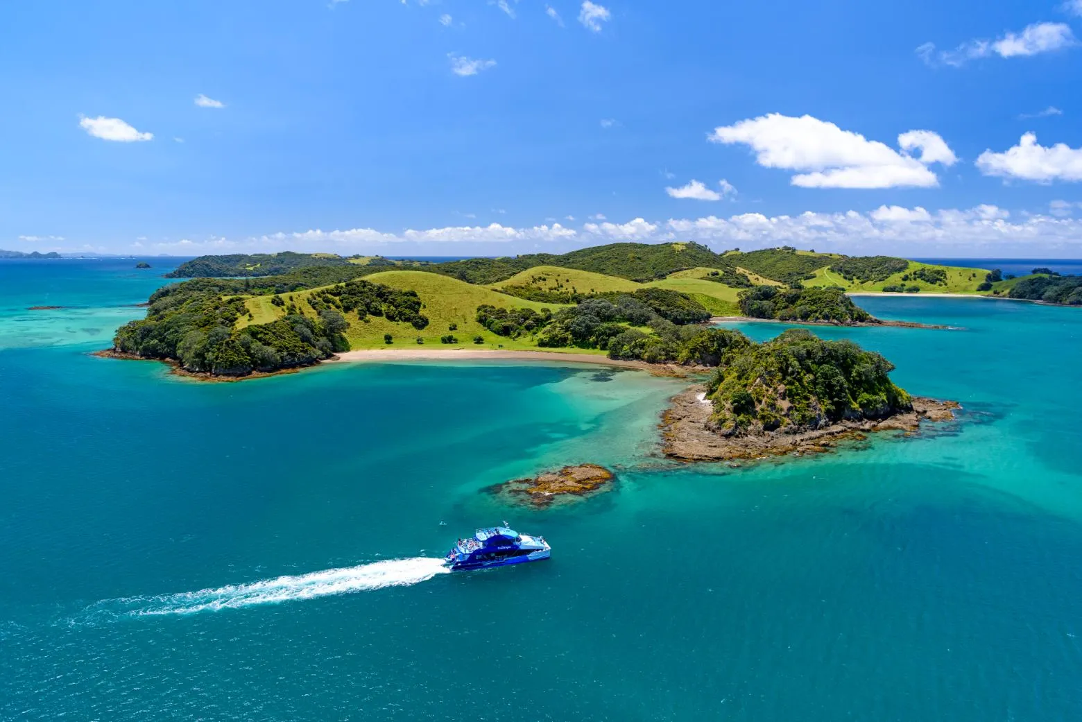 Bay of Islands Group Tour from Auckland | Experience Oz + NZ-9