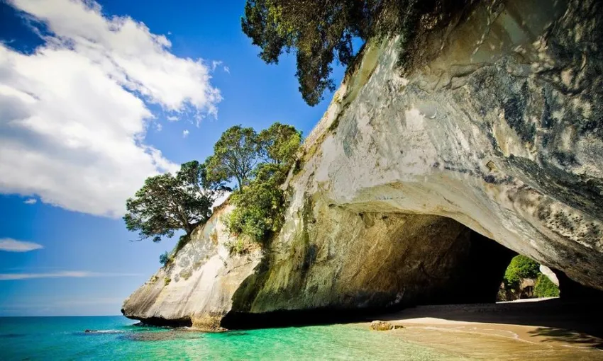 Coromandel Coastal Experience from Auckland | Experience Oz + NZ