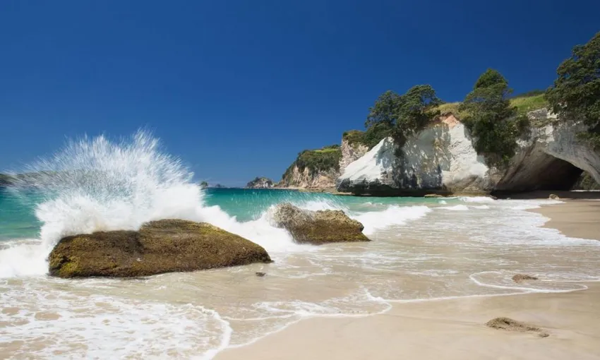 Coromandel Coastal Experience from Auckland | Experience Oz + NZ