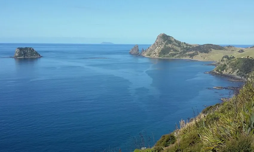 Coromandel Coastal Experience from Auckland | Experience Oz + NZ