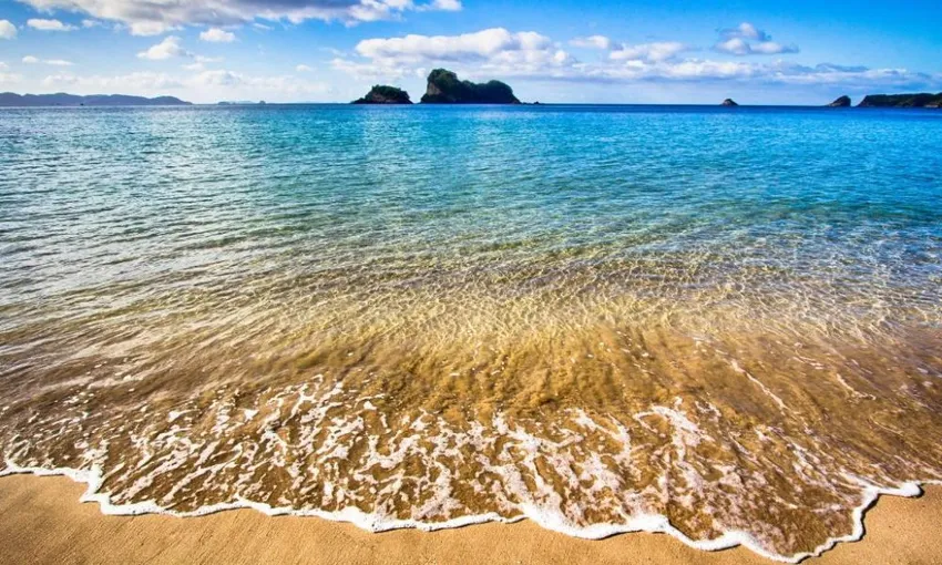 Coromandel Coastal Experience from Auckland | Experience Oz + NZ