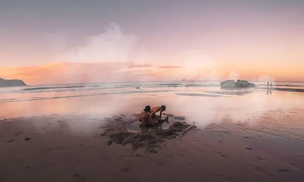 Coromandel Coastal Experience from Auckland - Full Day