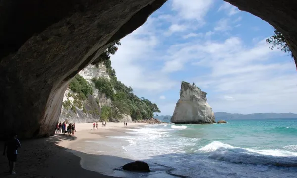 Coromandel Coastal Experience from Auckland - Full Day