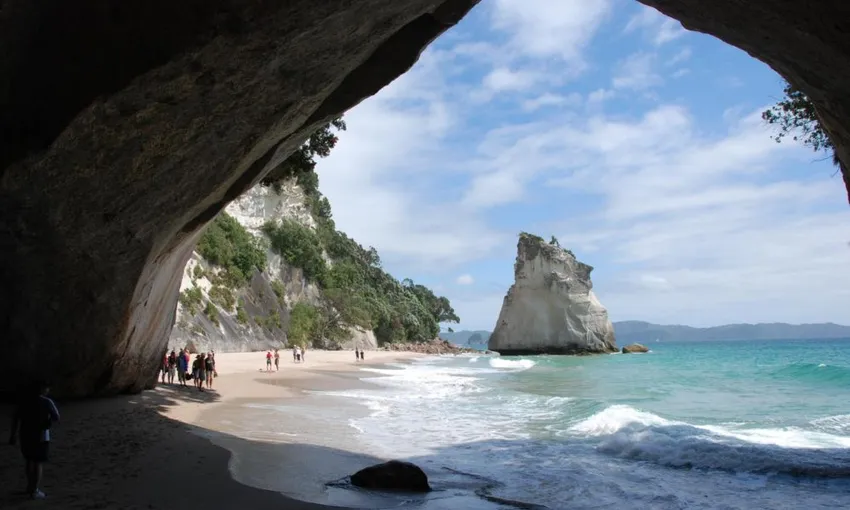 Coromandel Coastal Experience from Auckland | Experience Oz + NZ