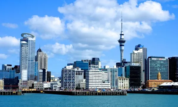 Auckland City & Native Forest Small Group Tour - Full Day