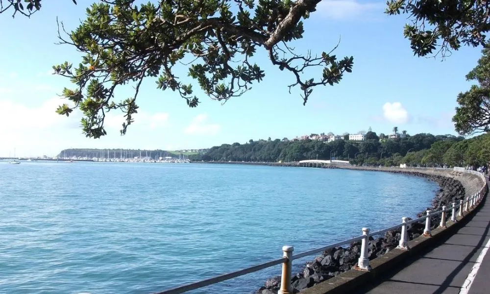 Auckland City & Native Forest Group Tour | Experience Oz + NZ-8